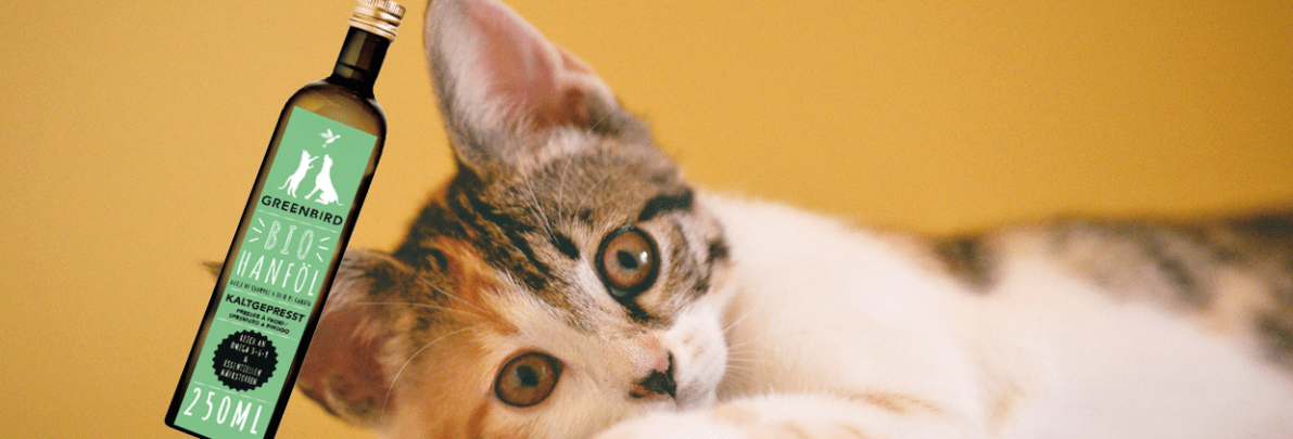 Zusätzliche Superpower für Ihren felligen Wegbegleiter